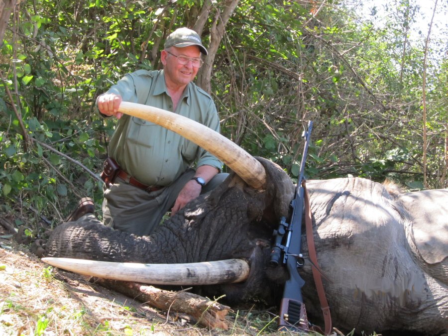 Elephant