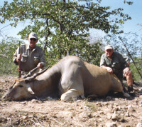 Safari