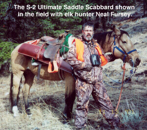 S-2 Scabbard Image